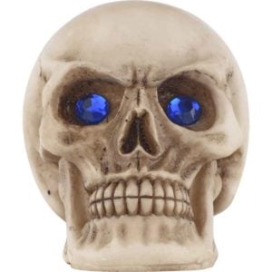 6 Piece Gemmed Skull Set