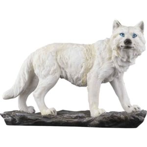 Curious Snow Wolf Statue