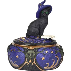 Magical Cat Box