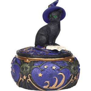 Magical Cat Box
