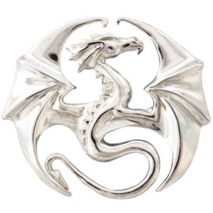 Draco Necklace by Anne Stokes