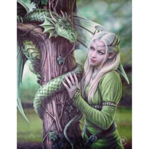Kindred Spirits Canvas Art Print by Anne Stokes