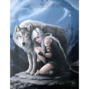 Protector Canvas Art Print by Anne Stokes