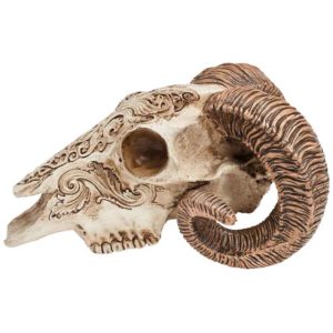 Scrimshaw Ram Skull
