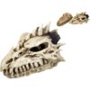 Evil Dragon Skull Incense Burner