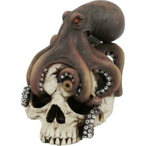 Octopus on Skull
