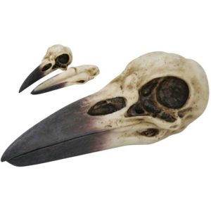 Raven Skull Trinket Box