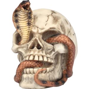 Cobra Skull Statue