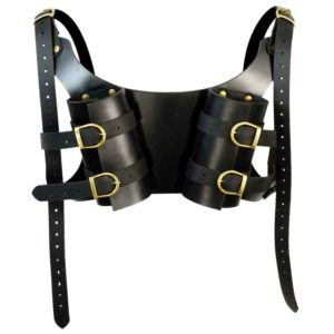 Dual LARP Sword Back Harness