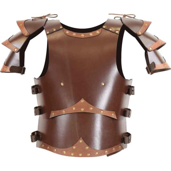 Dark Crusader Leather Armour