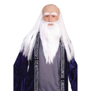 Medieval Wizard Disguise Set