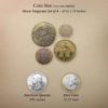 House Targaryen Coin Set