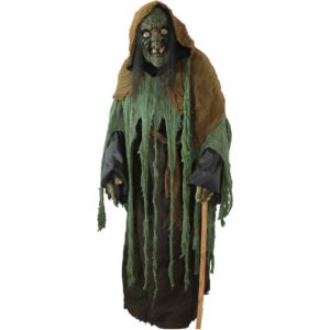 Lady of the Swamp Witch Costume