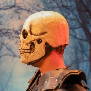 White Skull Mask