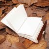 Dragon Leather Journal