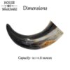 Large Helm of Awe Drinking Horn