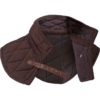 Brass Buckle Padded Collar - Brown