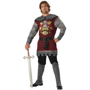 Noble Knight Men's Costume