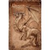 Dragon Parchment Metal Sign