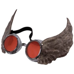 Silver Winged Goggles