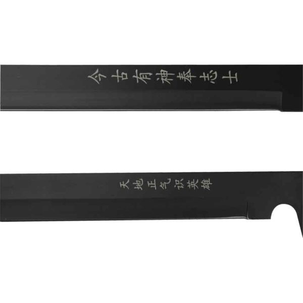 Matching Black Ninja Swords