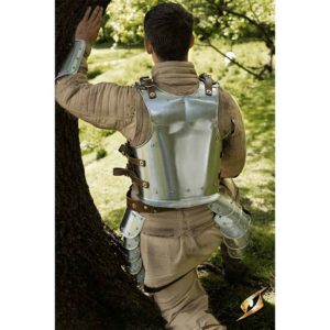 Backplate for Warrior or Drake- Size Small