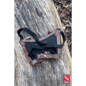 Ready For Battle Double Sword Harness