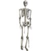 Full Size Skeleton Prop