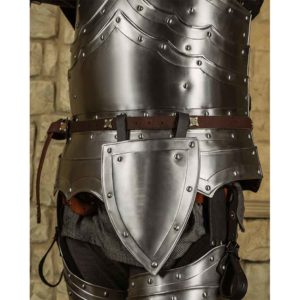 Steel Balthasar Shield Tasset