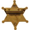 Sheriff Badge