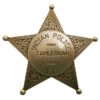 Indian Police Star Badge