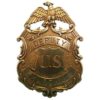 Brass US Marshal Shield and Eagle Badge