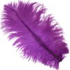 Purple Ostrich Feather Plume