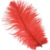 Red Ostrich Feather Plume