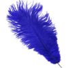 Regal Blue Ostrich Feather Plume