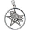 Raven Perched on Silver Pentacle Pendant