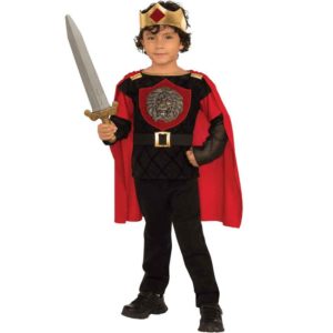Boys Little Knight Costume