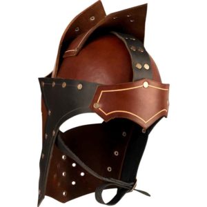 Paladin's Helm