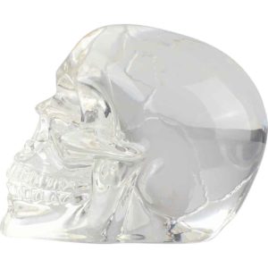 Small Translucent Skull Statue