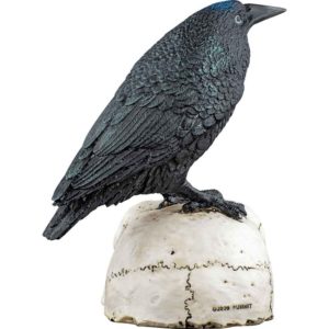 Raven on Skull Statue