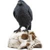 Raven on Skull Statue