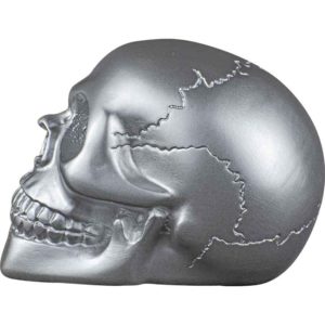 Small Silver Skull