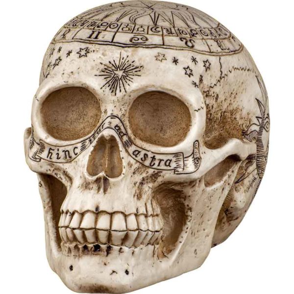 Astrology Skull