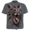 Roar of the Dragon Kids T-Shirt