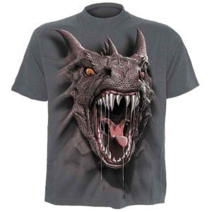 Roar of the Dragon Kids T-Shirt