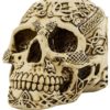 Pierced Celtic Tribal Skull