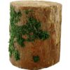 Decorative Mossy Tree Stump