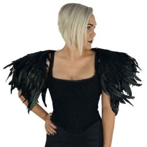 Iridescent Blackbird Wings