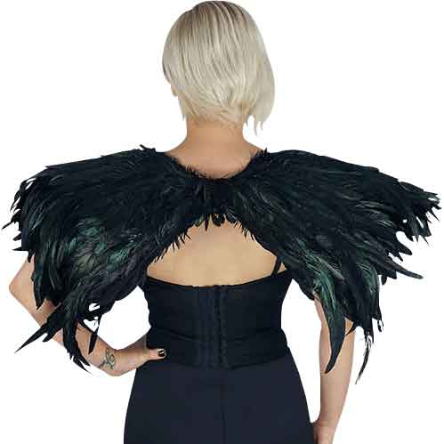 Iridescent Blackbird Wings