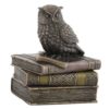 Bronze Scops Owl On Books Trinket Box